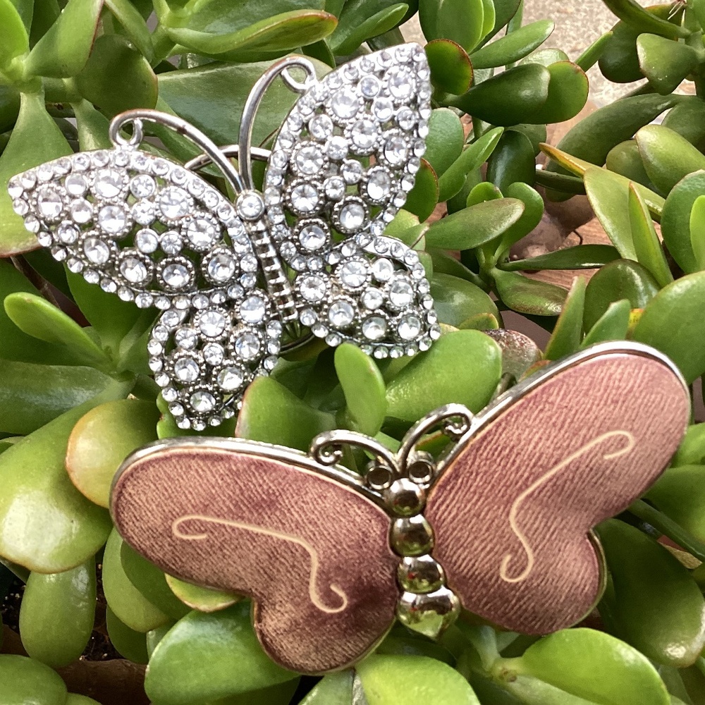 Butterfly Lovers Belt Buckle Package